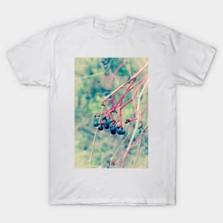 Dogwood Berries 2 T-Shirt